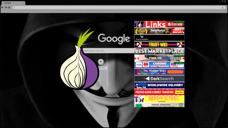 Copertina di 5SearchEngineDW